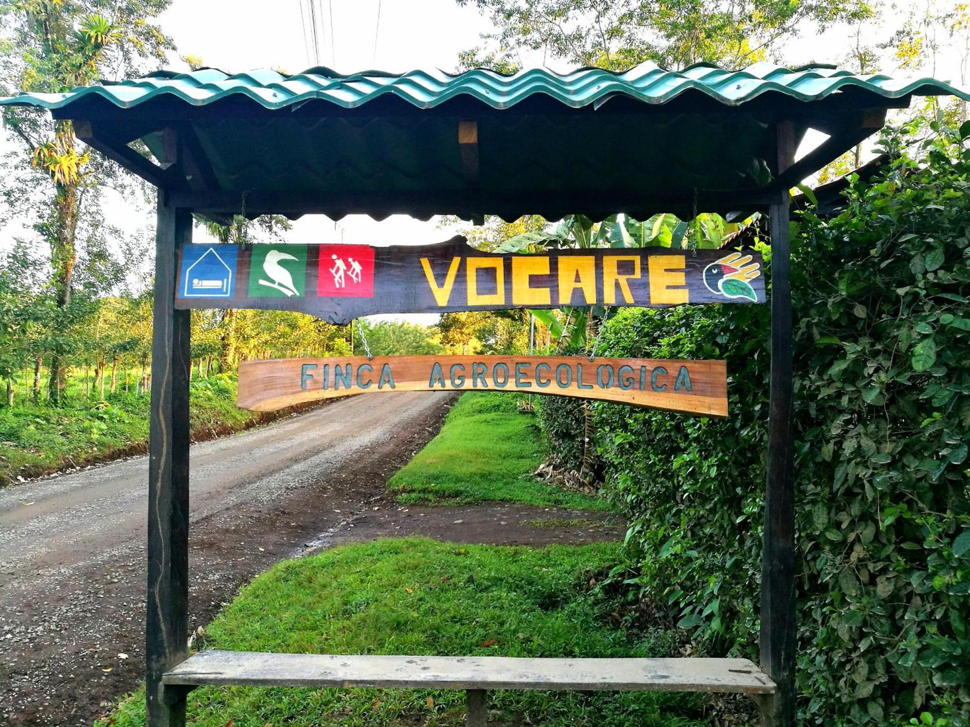 Vocare Finca Agroecologica Upala Exterior photo