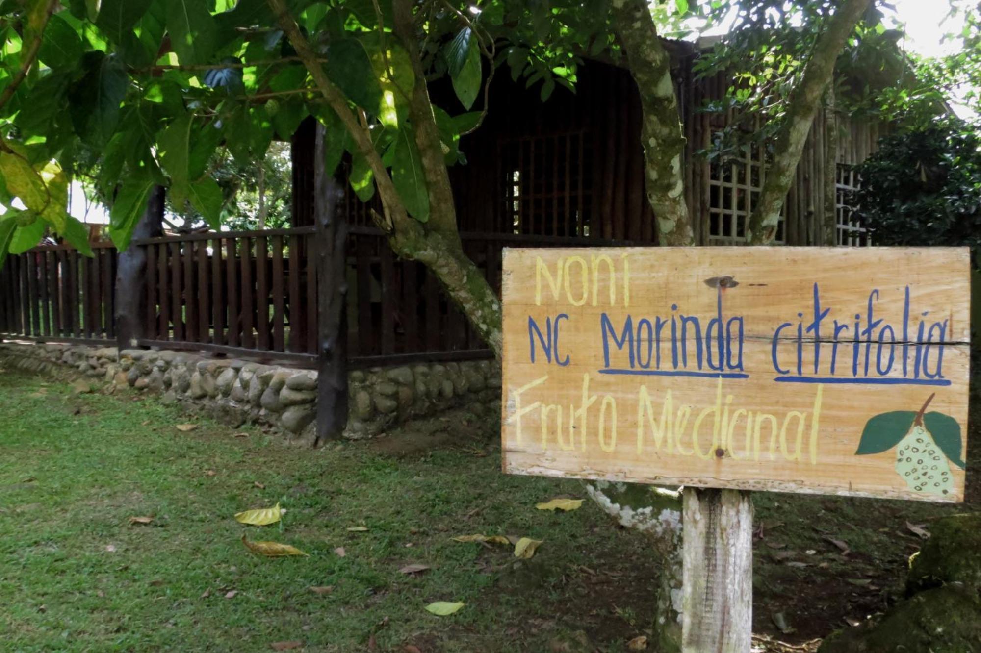 Vocare Finca Agroecologica Upala Exterior photo